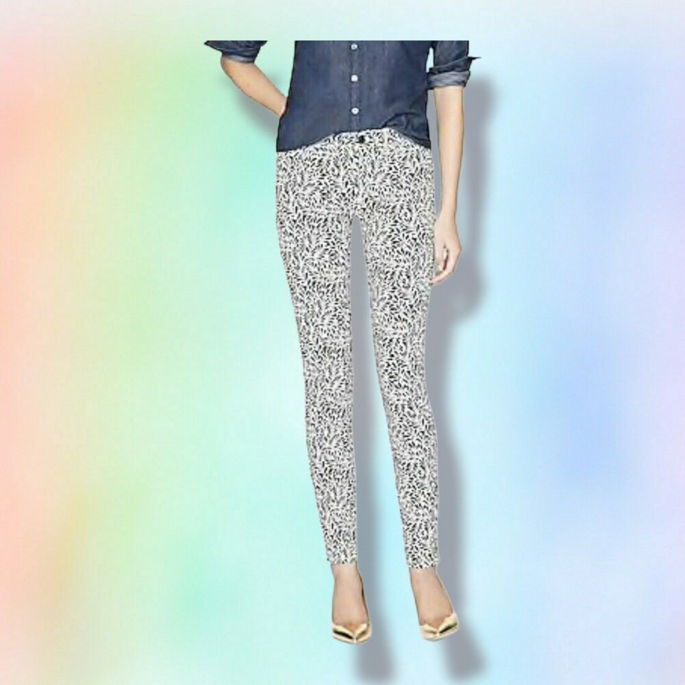 J Crew Jeans Pants 29‎ Regular Midrise Toothpick Skinny Fern artsy vacation